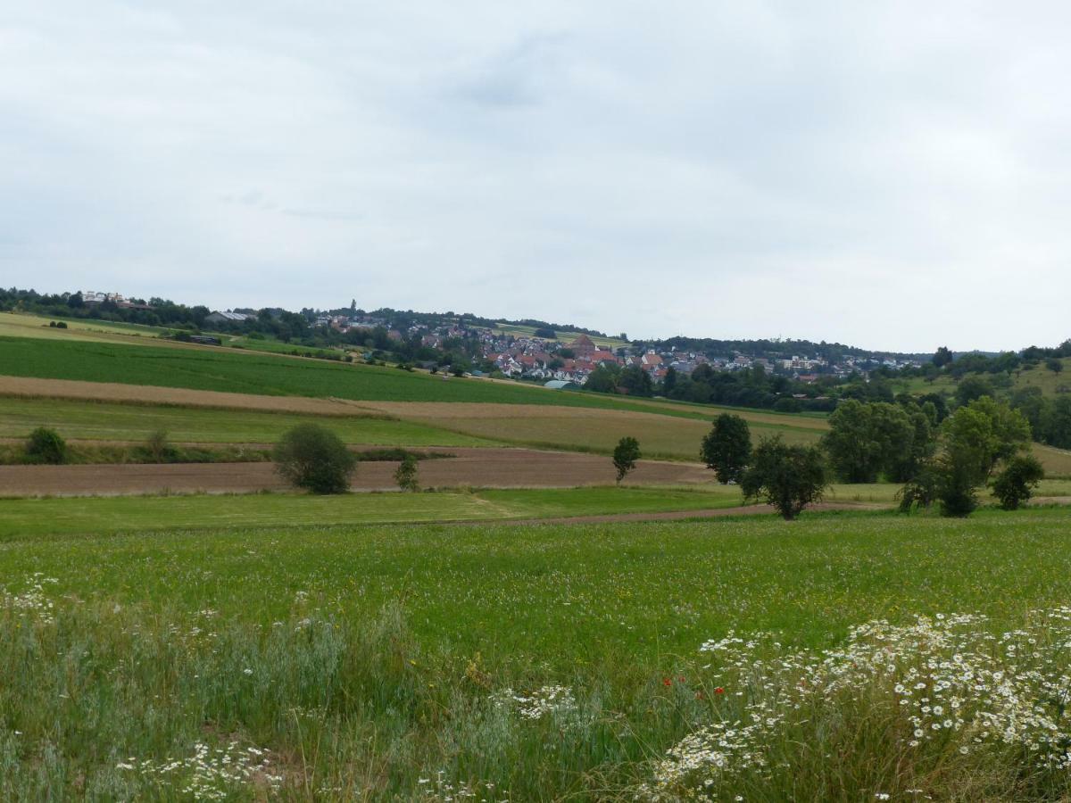 Ferienwohnung Heimsheim Екстериор снимка